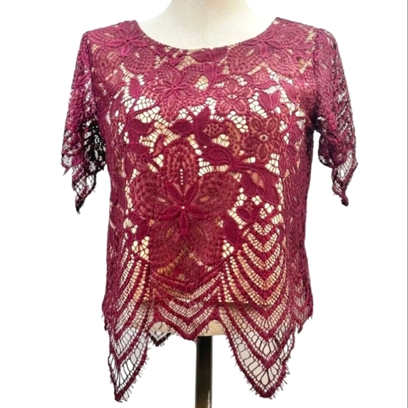 Express Wine Lace Overlay Lined Crop Top - Picture 2 of 9